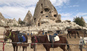 hestetur i kappadokien, ridetur i kappadokien, oplevelser i kappadokien, visit cappadocia, heste i kappadokien, de smukke hestes lande, 2k travel agency, oplev kappadokien, oplevelser i tyrkiet, alanya blog, alanya blogger, dansk i tyrkiet, rejseblogger, dansk rejseblog, udlandsdansker i tyrkiet, heste i kappadokien