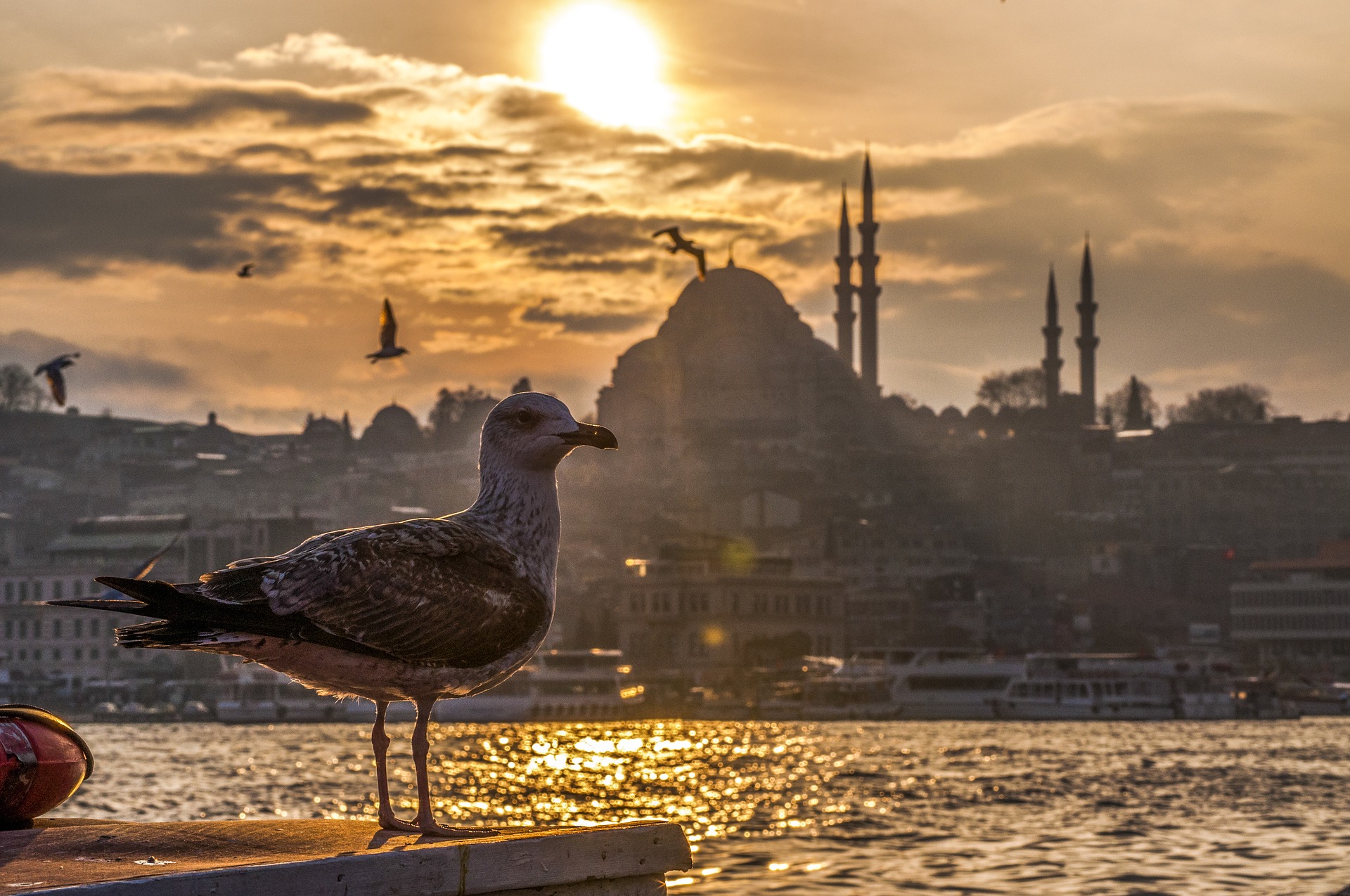 miniferie i istanbul, fakta om istanbul, oplevelser i istanbul, tyrkiet blogger, dansk i tyrkiet, alanya blog, alanya blogger, dansk rejseblog, udlandsdansker blog