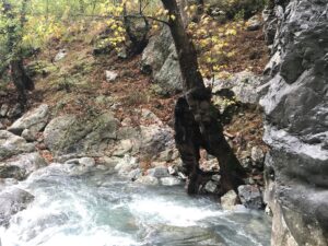 sapadere vandfaldet, sapadere kløften, sapadere landsby, oplevelser i alanya, oplevelser nær alanya, seværdigheder i alanya, kør selv tur alanya omegn, vandfald alanya, demirtas alanya, oplevelser i tyrkiet, seværdigheder i tyrkiet, alanya blog, alanya blogger, tyrkiet blogger, dansk i tyrkiet, udlandsdansker blog, udflugter i alanya