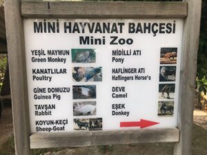 zoologisk have i antalya, zoo i antalya, dyrepark i antalya, dyrepark nær alanya, zoologisk have nær antalya, oplevelser i antalya, seværdigheder i Antalya, zoologisk have i Tyrkiet, zoo i tyrkiet, dyreparker i Tyrkiet, oplevelser for børn i Antalya, børnevenlige oplevelser i antalya, dansk i tyrkiet, alanya blogger, tyrkiet blogger, rejsetips antalya