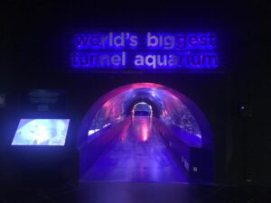 antalya aquarium, tyrkiet aquarium, dyreoplevelser i antalya, pris for antalya aquarium, oplevelser i Antalya, seværdigheder i Antalya, børneoplevelser i antalya, familieoplevelser i antalya, verdens længste hajtunnel, verdens længste akvariumtunnel, alanya blogger, tyrkiet blog, udlandsdansker blog, dansk i tyrkiet, hverdagen i tyrkiet, oplevelser i tyrkiet