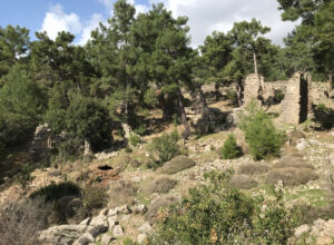 Lyrbe seleukeia antik by nær manavgat, oplevelser i manavgat og omegn, oplevelser i side og omegn, antikke byer i tyrkiet, lyrbe antik by, seleukia antik by, gratis oplevelser i manavgat og omegn, antikke byer i tyrkiet, oplevelser i alanya og omegn,