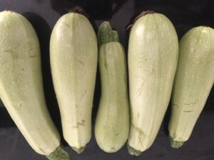 Tyrkisk gryderet med squash, tyrkiske gryderetter, tyrkiske vegetarretter, tyrkiske retter, tyrkiske madretter, nemme tyrkiske retter, opskrifter med squash, inspiration til mad med squash, tyrkisk mad, det tyrkiske køkken, nemme vegetarretter, vegetarret med squash